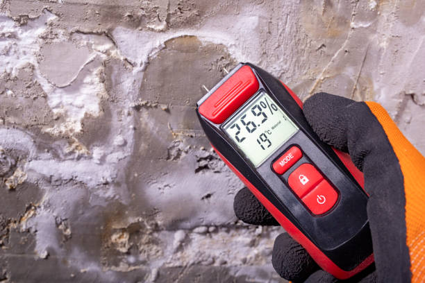 Best Emergency Mold Removal  in Biscoe, NC