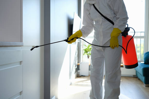 Best Crawl Space Mold Removal  in Biscoe, NC