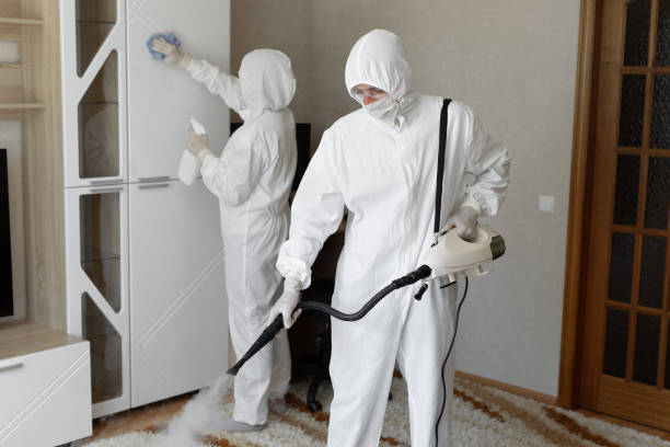 Attic Mold Removal in Biscoe, NC
