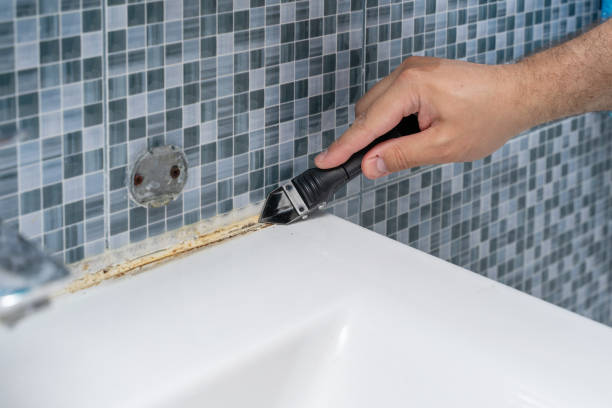 Biscoe, NC Mold Removal Company
