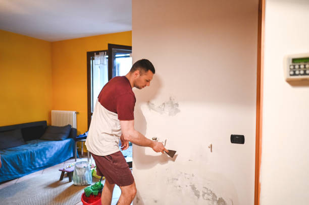 Best Mold Removal Company Near Me  in Biscoe, NC